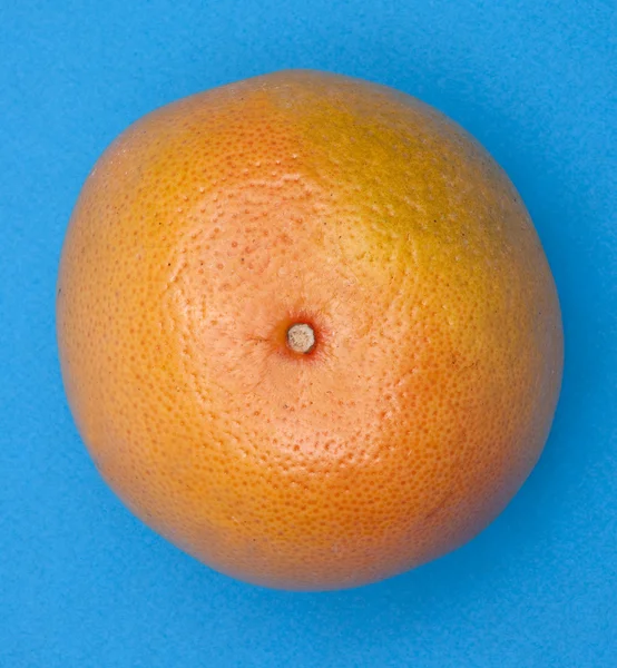 Grapefruit auf Blau — Stockfoto