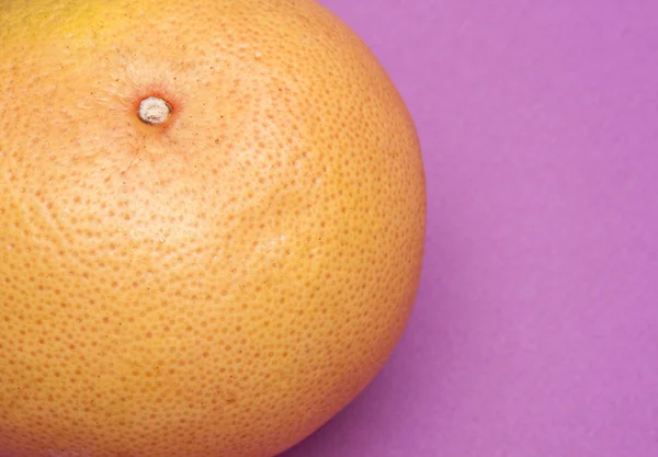 Grapefruit auf Purpur — Stockfoto