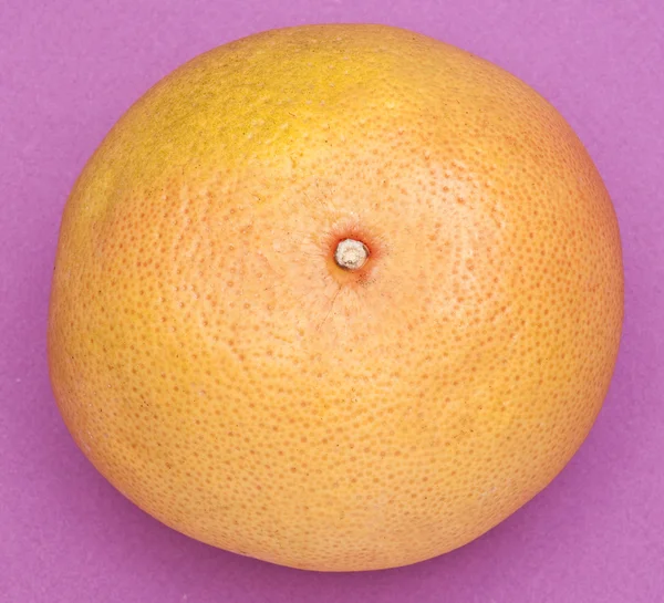 Grapefruit on Purple — Stock Photo, Image