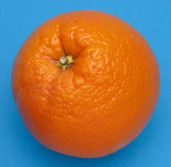 Orange på blå — Stockfoto