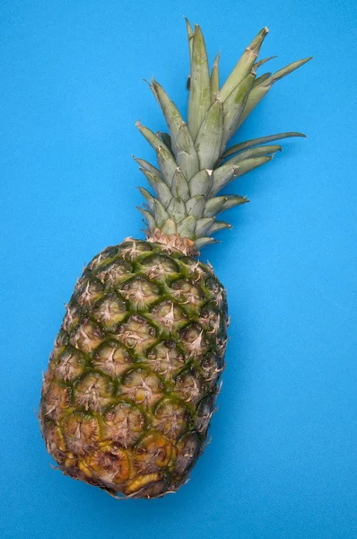 Ananas op blauw — Stockfoto