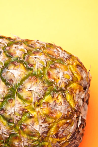 Ananas grens op geel — Stockfoto
