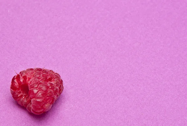 Raspberry on Purple — Stock Photo, Image