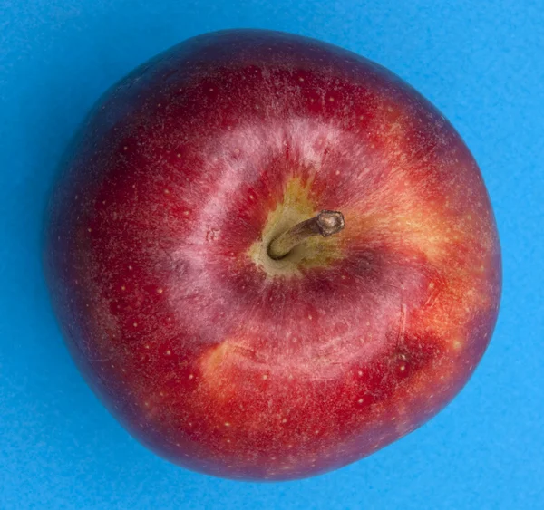 Apfel auf Blau — Stockfoto
