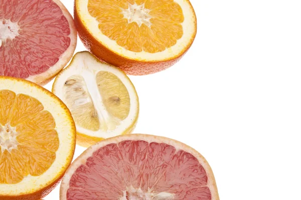 Skupina citrusů — Stock fotografie