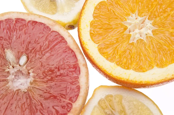 Grupp av citrus — Stockfoto