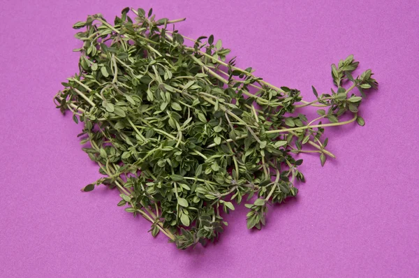 Stock image Fresh Thyme