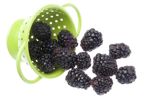 Fresh Healthy Blackberries — Stock Photo, Image