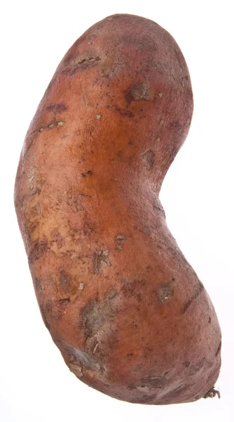 Sweet Potato Yam — Stock Photo, Image