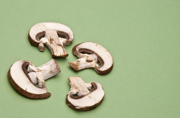 버섯 테두리 — 스톡 사진