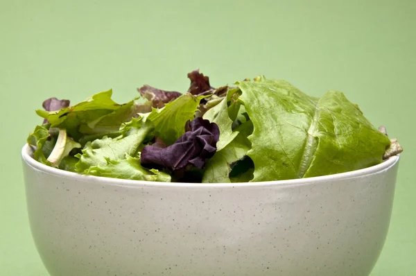 Салат на зеленом фоне — стоковое фото