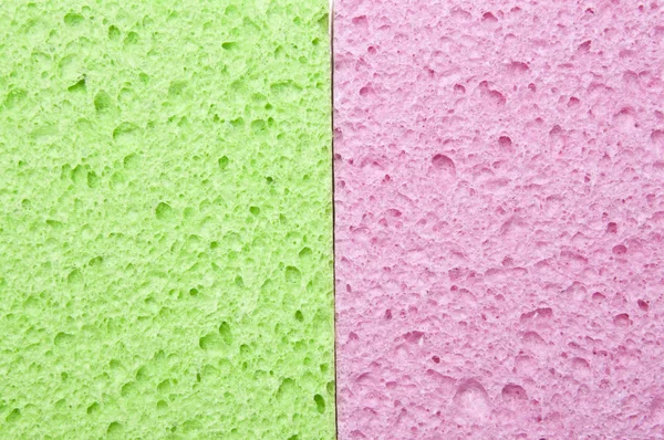 Grüner und pinkfarbener Schwamm — Stockfoto