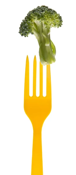 Brócolis em um garfo vibrante — Fotografia de Stock