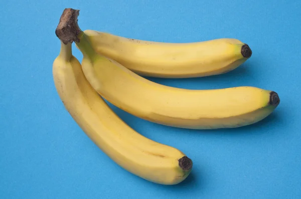 Bananenstrauß auf leuchtendem Blau — Stockfoto