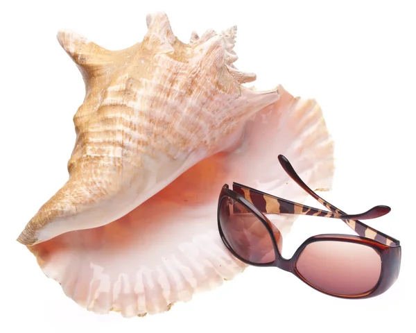 Kagyló héj és napszemüveg — Stock Fotó