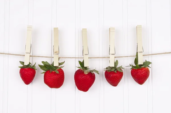 Sommer-Erdbeeren — Stockfoto