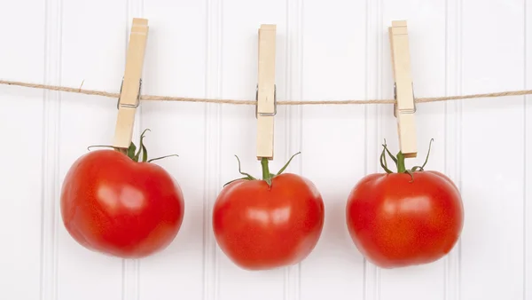 Летние помидоры, свисающие с белья — стоковое фото