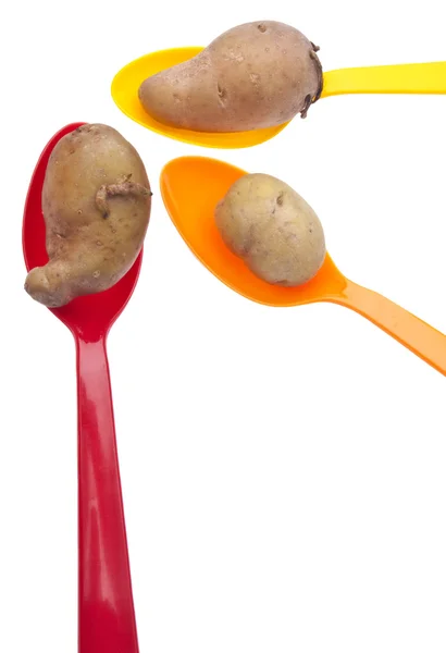 Fingerling artisan aardappelen — Stockfoto