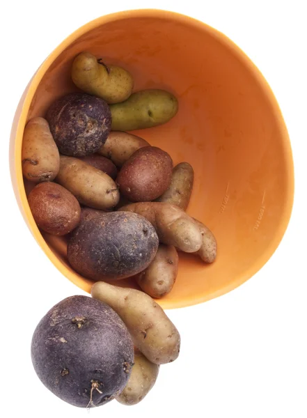 Fingerling artisan aardappelen — Stockfoto