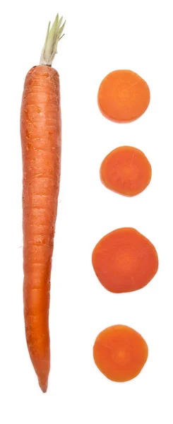 Dosen und frische Karotten — Stockfoto
