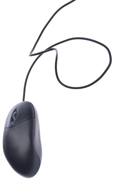 Black Computer Mouse — Stock Photo, Image