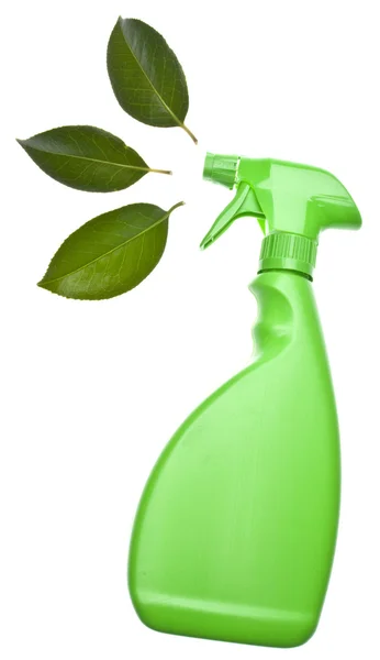 Groene schoonmaken — Stockfoto