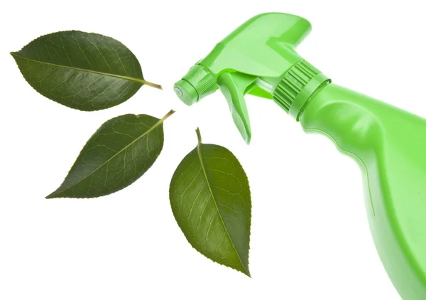 Green Cleaning — Stock Photo, Image