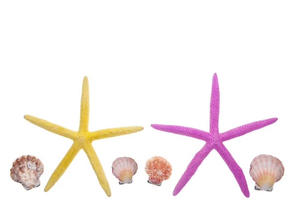 Fronteira de Shell e Starfish — Fotografia de Stock