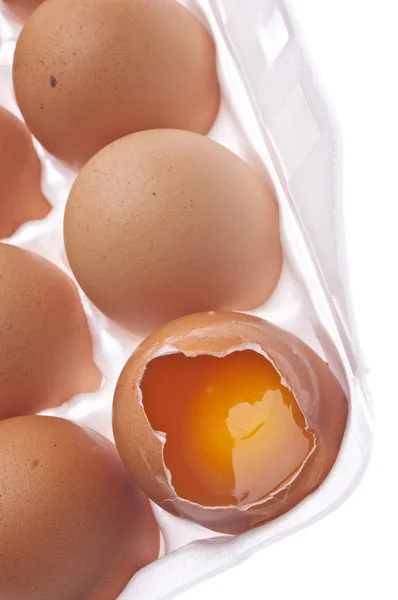 Verse organische bruin eieren gekraakt — Stockfoto
