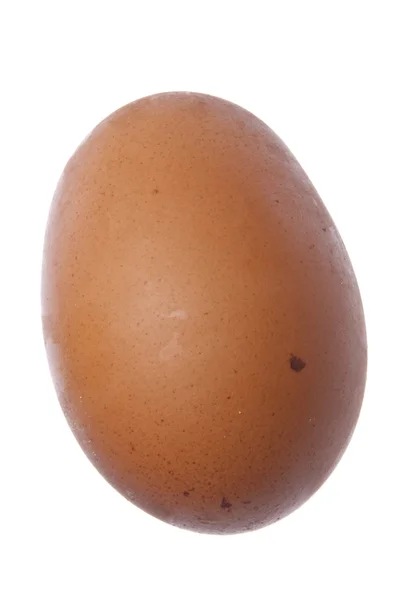 Rått bruna ägg — Stockfoto