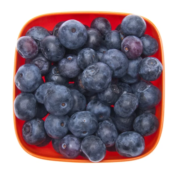Blueberries in a Vibrant Orange Bowl — Stock Photo, Image