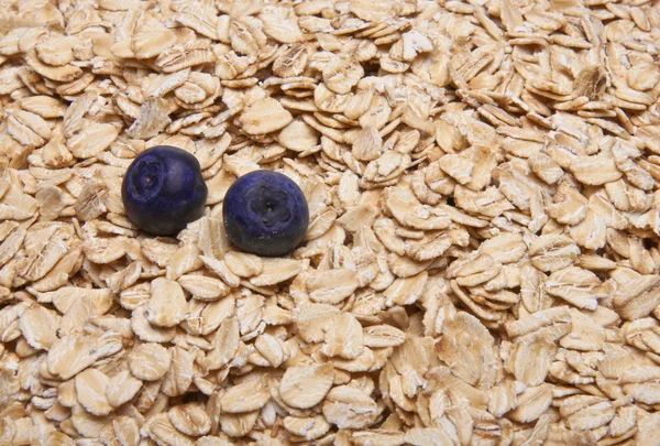 Ovăzul proaspăt din cereale integrale și afinele de fundal . — Fotografie, imagine de stoc