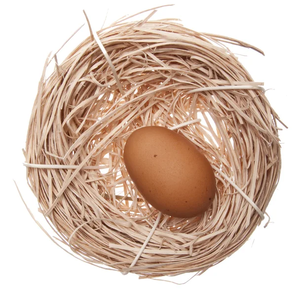 Hnízdo s hnědá vejce — Stock fotografie