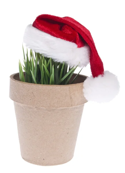 Give a Green Gift this Holiday Season — Stock Photo, Image