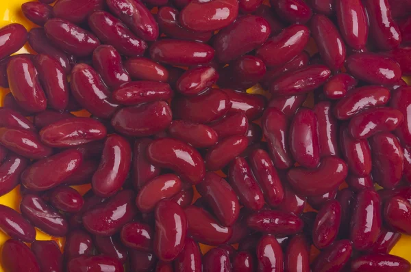 빨간 신장 콩 배경 — 스톡 사진