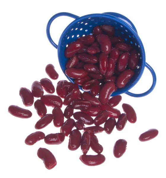 Blue Colander Full of Kidney Beans — Stock Photo, Image