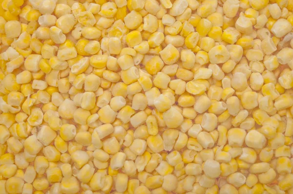 Frozen Corn Background — Stock Photo, Image