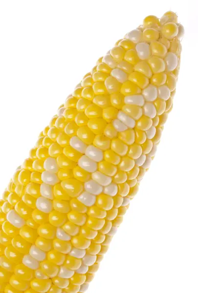 Fresh Yellow Corn — Stock Photo, Image