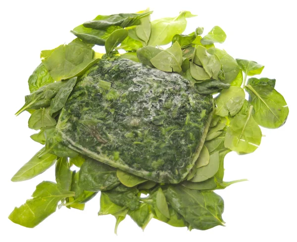 Fresh and Frozen Spinach — Stock Photo, Image