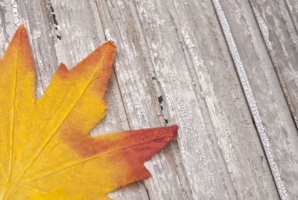 Foglie d'autunno su legno rustico — Foto Stock