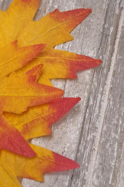 Падение листьев на рустик — стоковое фото