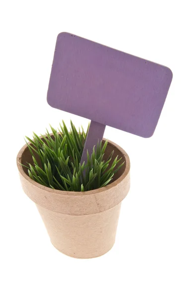 Topf mit Gras mit leuchtend violettem Zeichen — Stockfoto