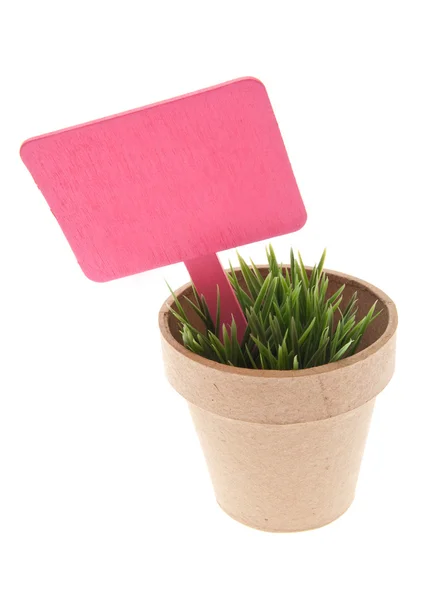 Pote de grama com sinal rosa vibrante — Fotografia de Stock
