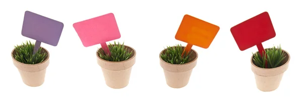 Pots of Grass with Vibrant Blank Signs — Stock Photo, Image