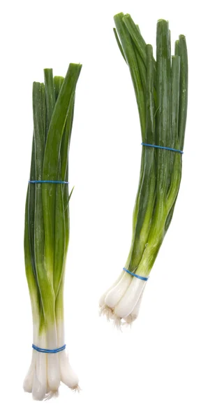 Świeża zielona cebula — Zdjęcie stockowe
