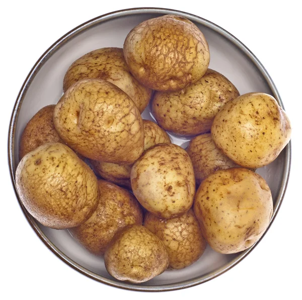 新鲜水洗的白土豆 — 图库照片