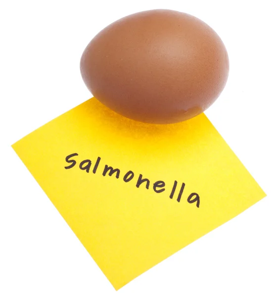 Salmonellen auf Eiern — Stockfoto