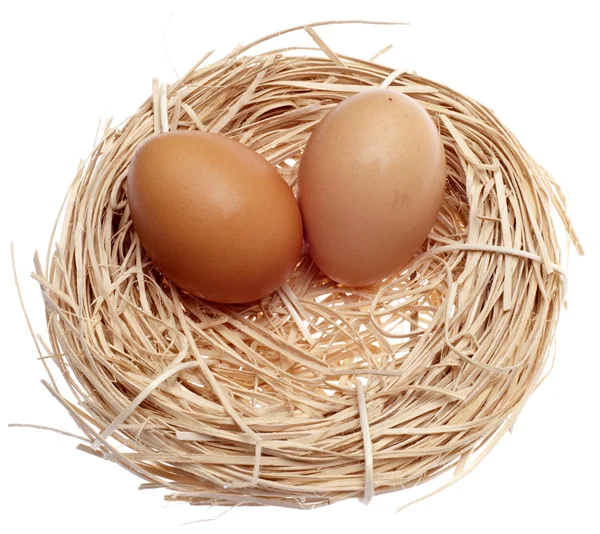 Brown Eggs in a Nest — Stock Photo, Image