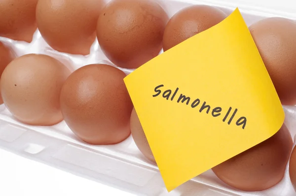 Salmonella op eieren — Stockfoto