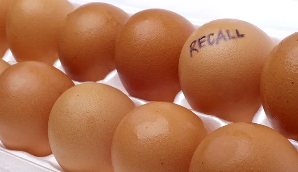 Recuperación de huevos — Foto de Stock